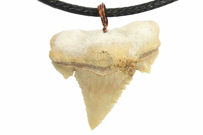 Serrated, Fossil Paleocarcharodon Shark Tooth Necklace #273584